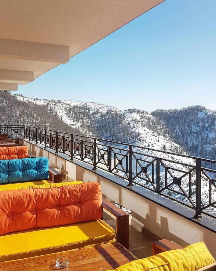 Apartments Zivkovic, Milmari D 科帕奥尼克 外观 照片