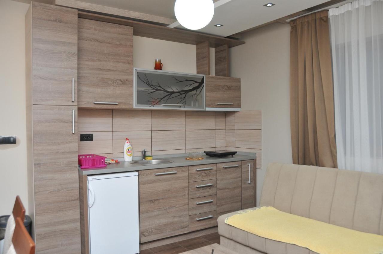 Apartments Zivkovic, Milmari D 科帕奥尼克 外观 照片
