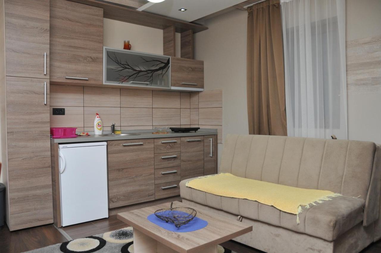 Apartments Zivkovic, Milmari D 科帕奥尼克 外观 照片